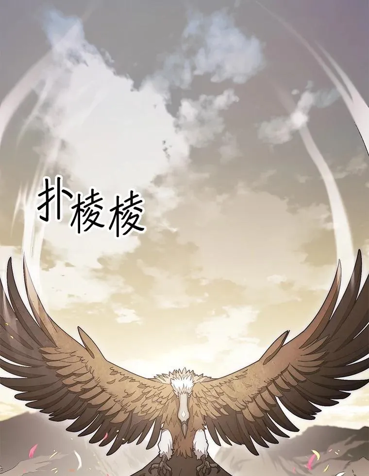 55.让凯利安息24