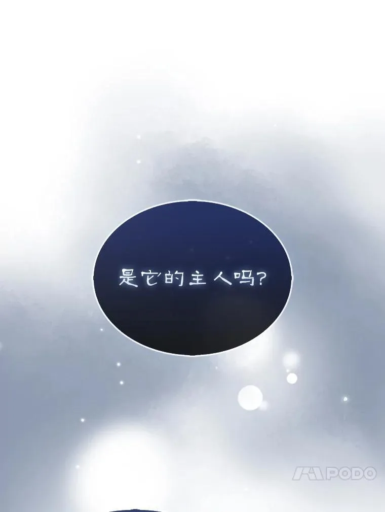 55.让凯利安息35