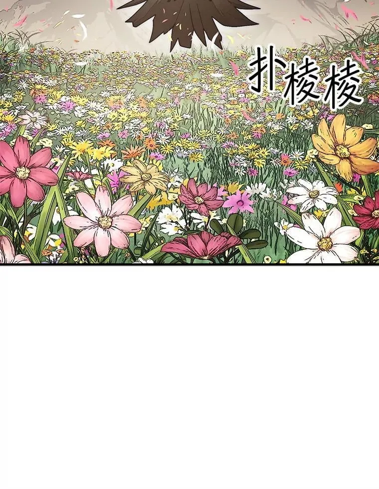 55.让凯利安息25