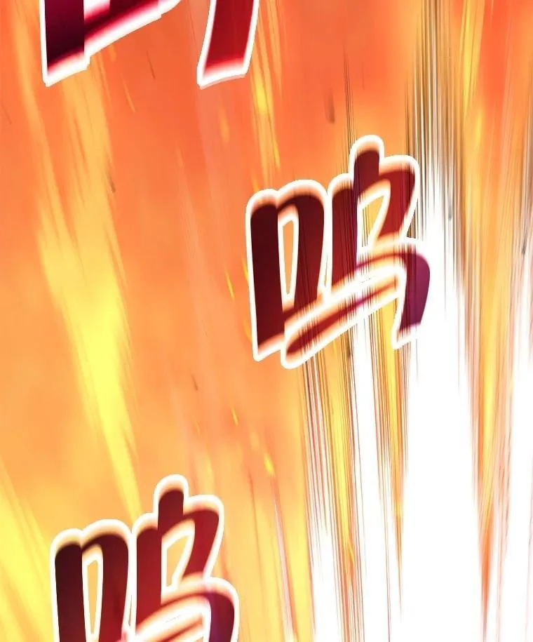 51.形113