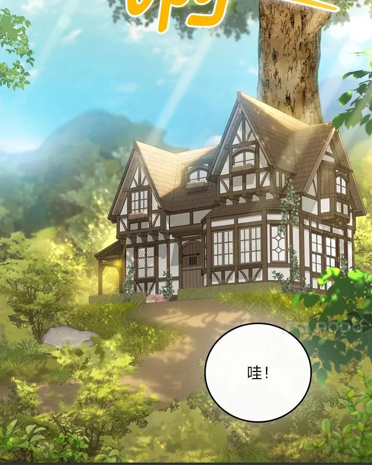 104.爱热闹的魔女37