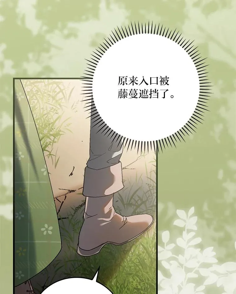 104.爱热闹的魔女35
