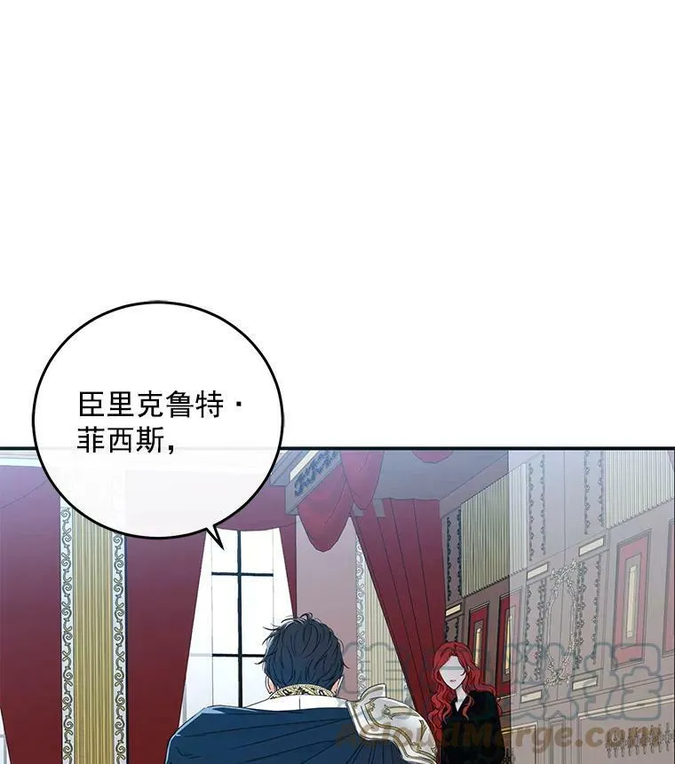 23.让人看不透的菲西斯9