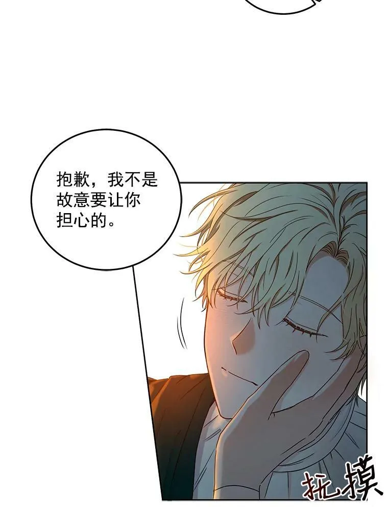 23.让人看不透的菲西斯29