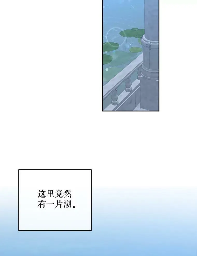 38.暴露17