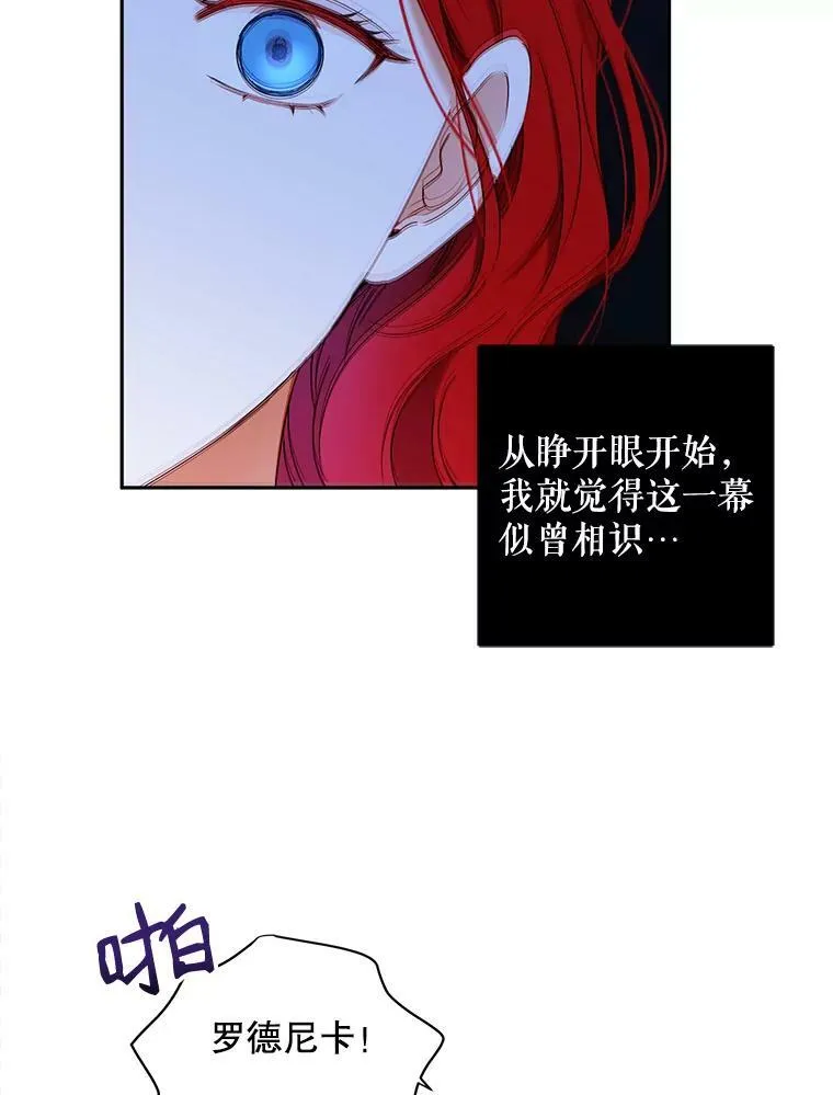 46.梦11