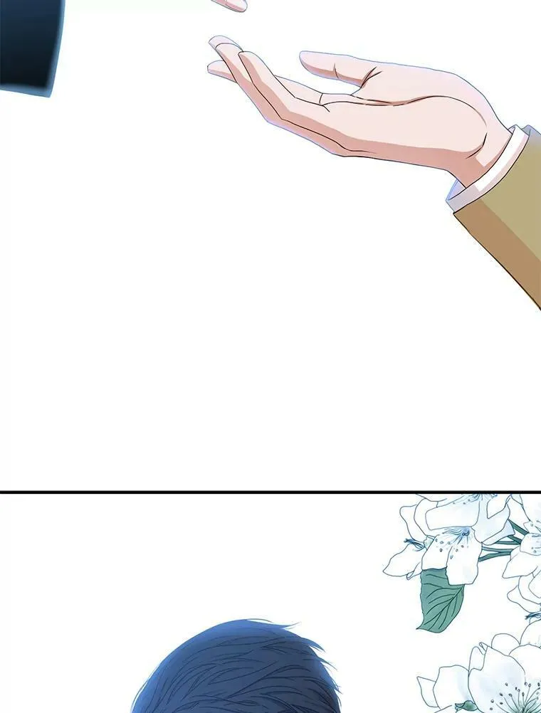 23.让人看不透的菲西斯14