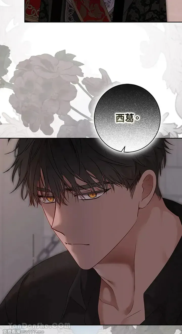 第115话61