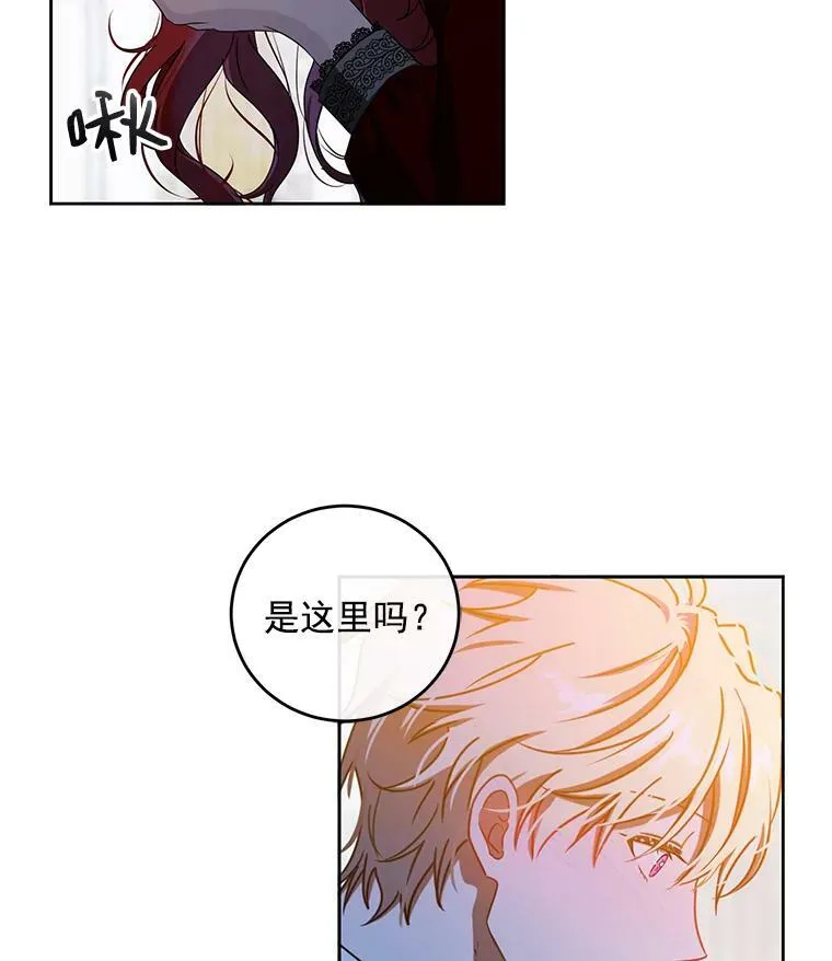 11.你属于你自己26