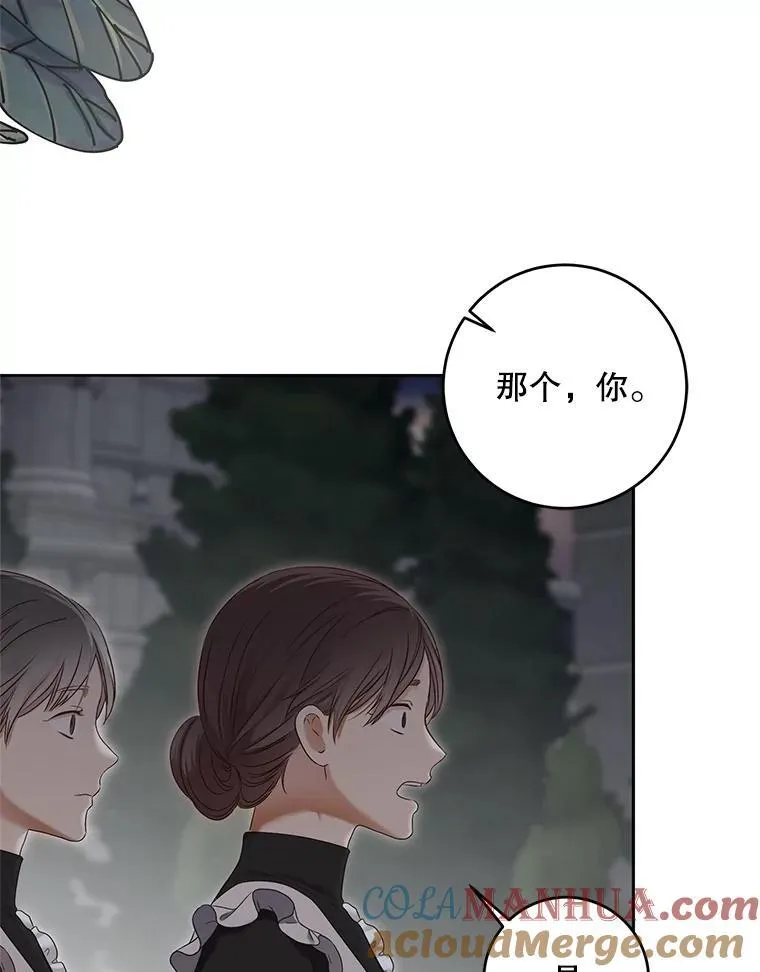 97.守株待兔18