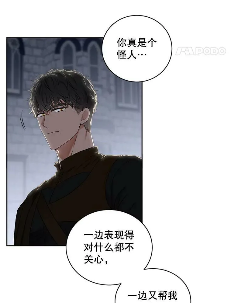 66.合作41