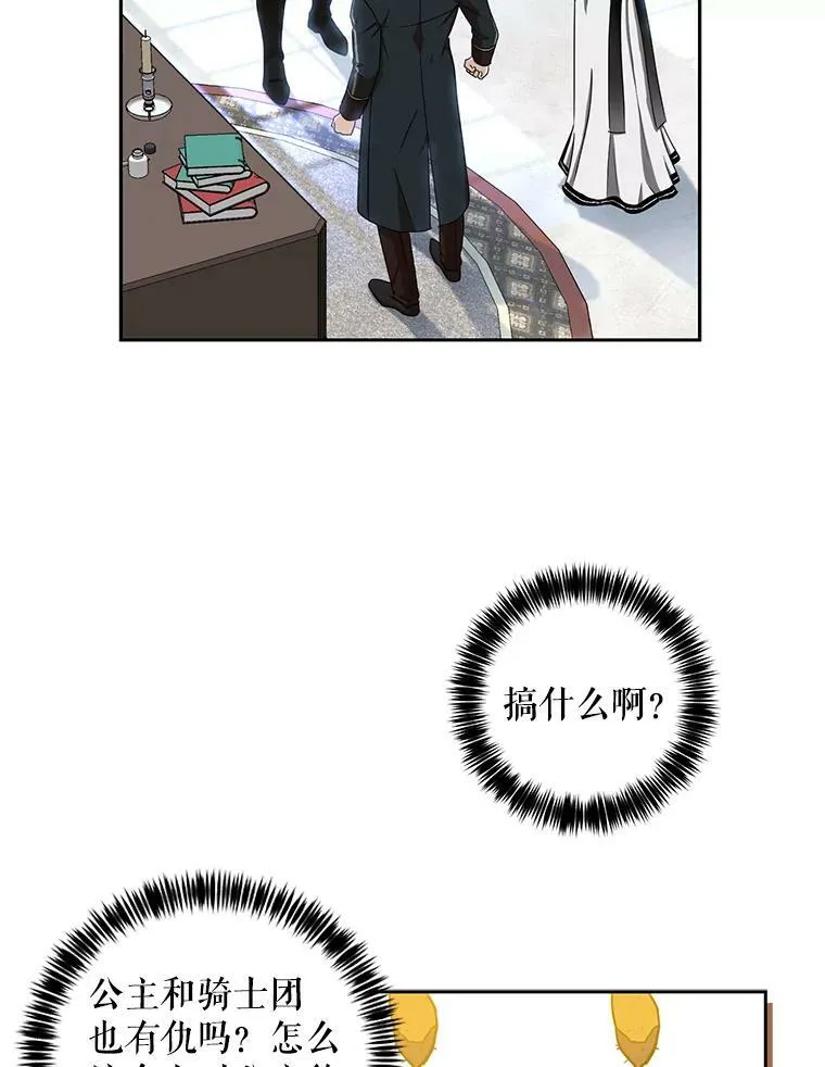 15.与骑士团的恩怨38