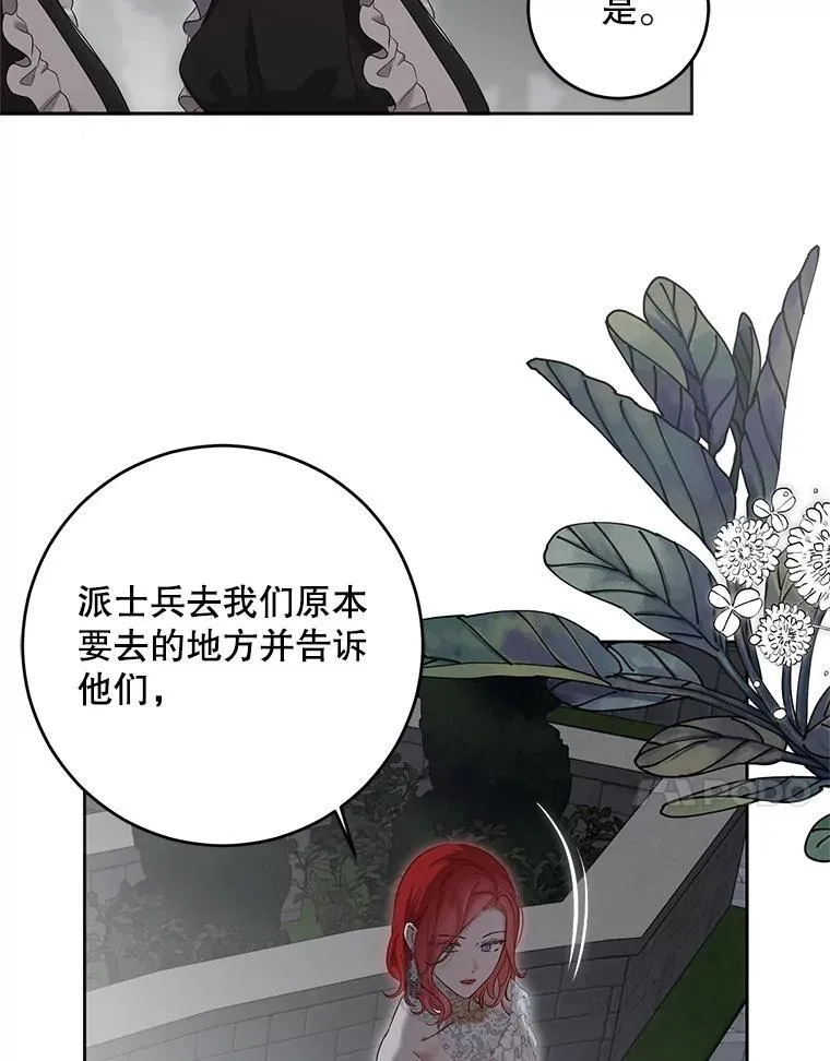 97.守株待兔19