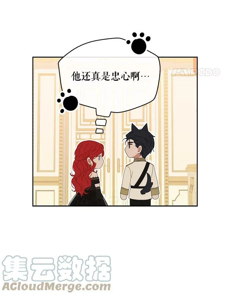 47.密见卡兰特63