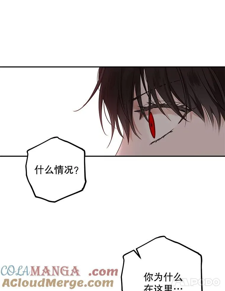 106.尽在计划之中20