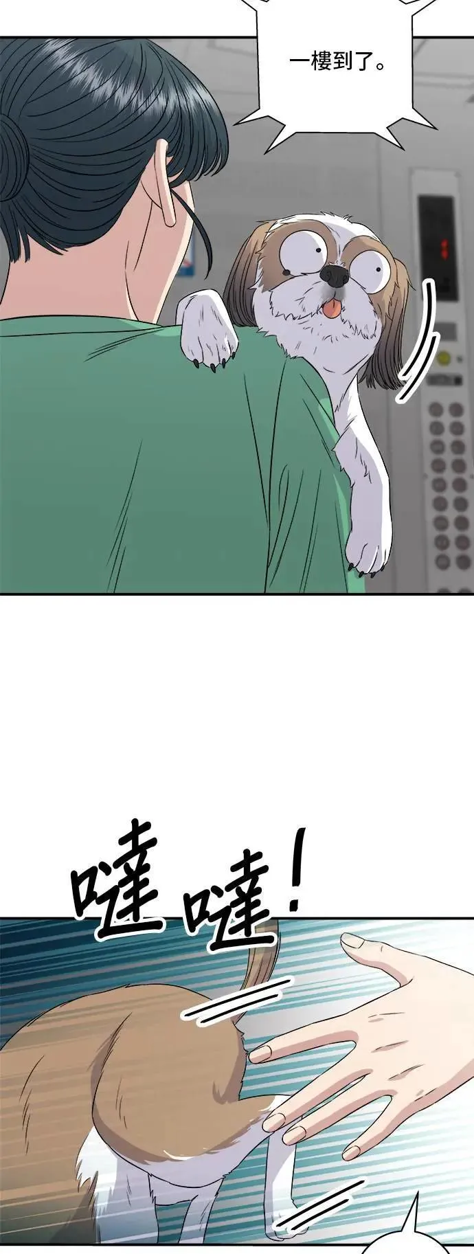 第204话 干炸酱面16