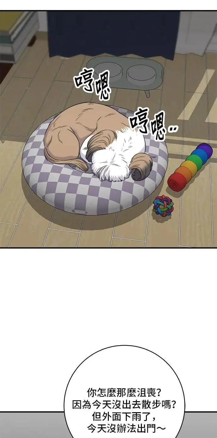 第204话 干炸酱面5