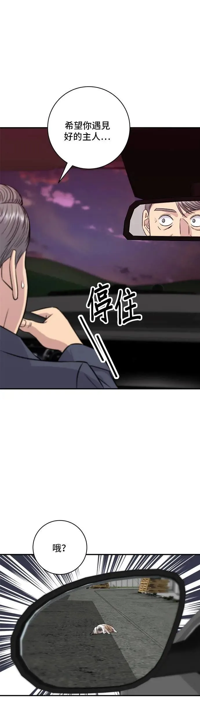 第197话 南瓜39