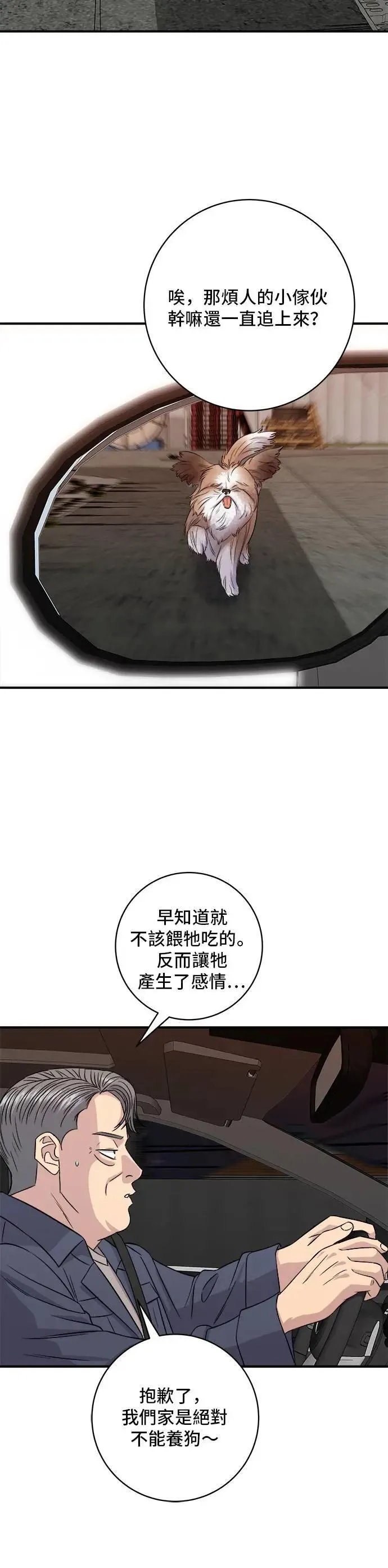 第197话 南瓜38