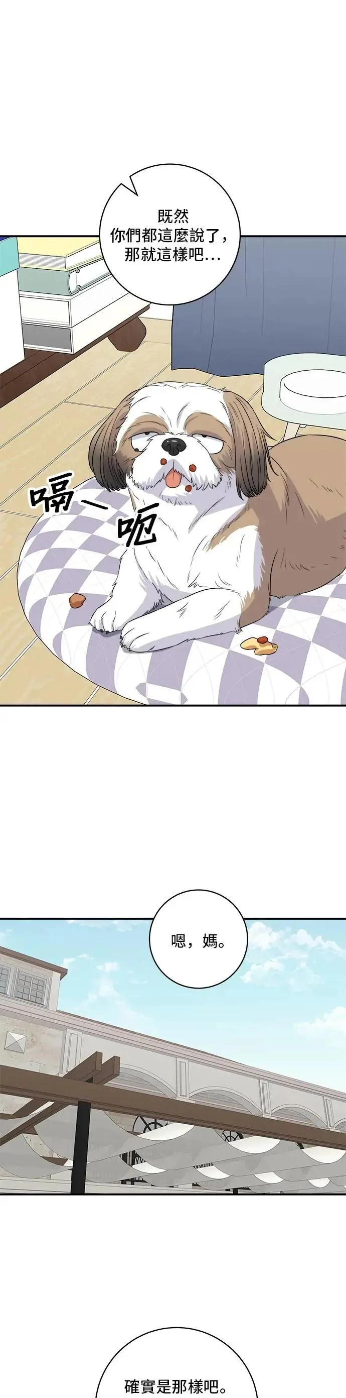 第209话 巨无霸热狗披萨面包18