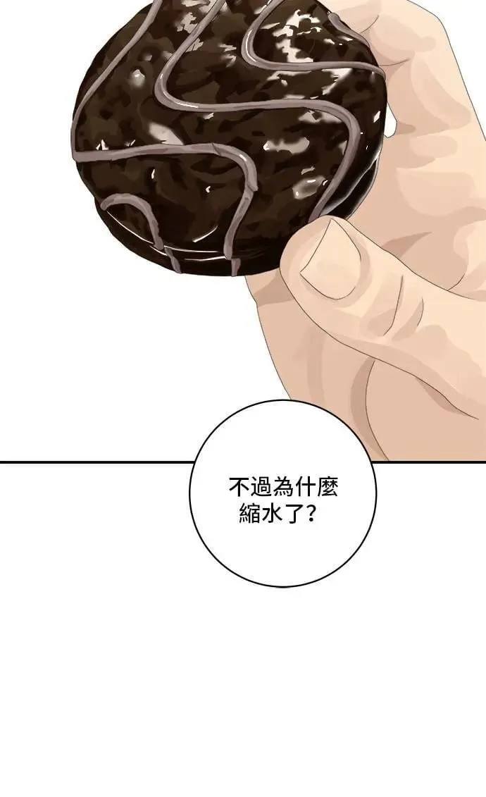 第194话 巧克力派11