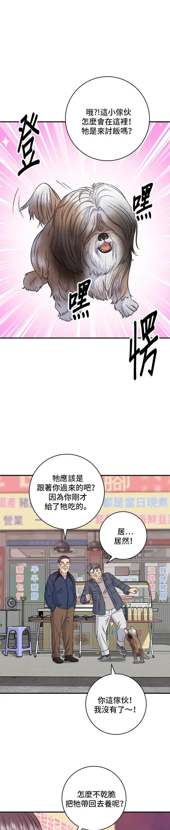 第197话 南瓜35