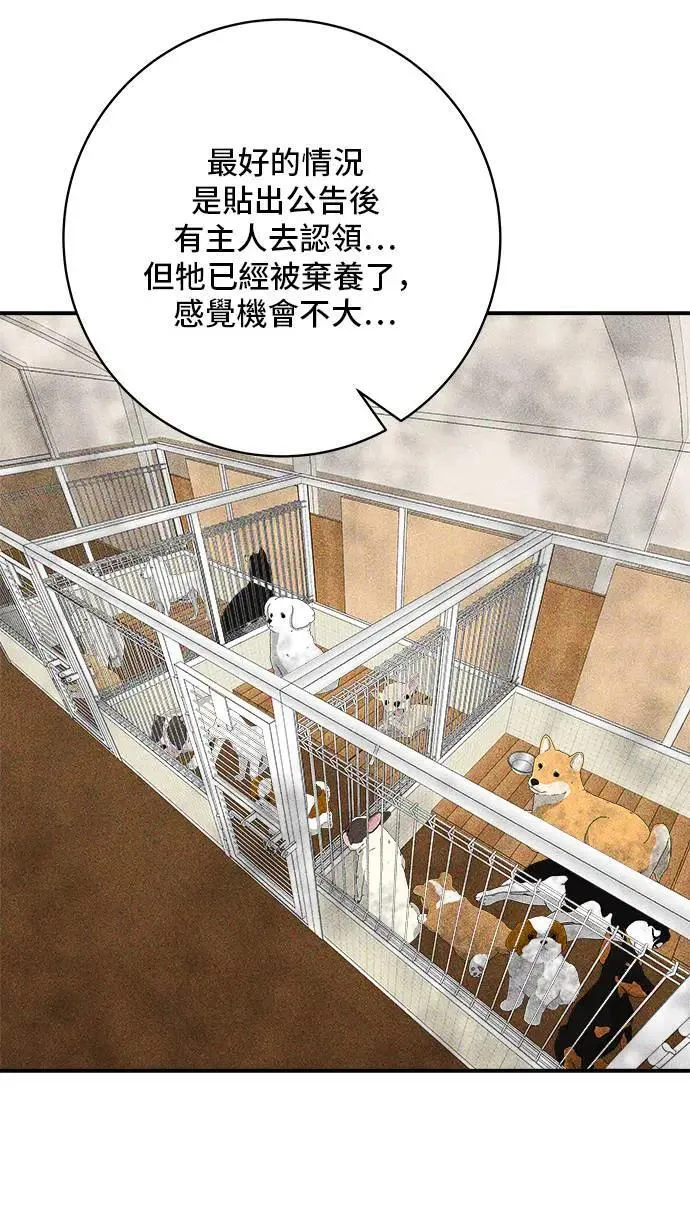 第198话 番茄炒蛋12