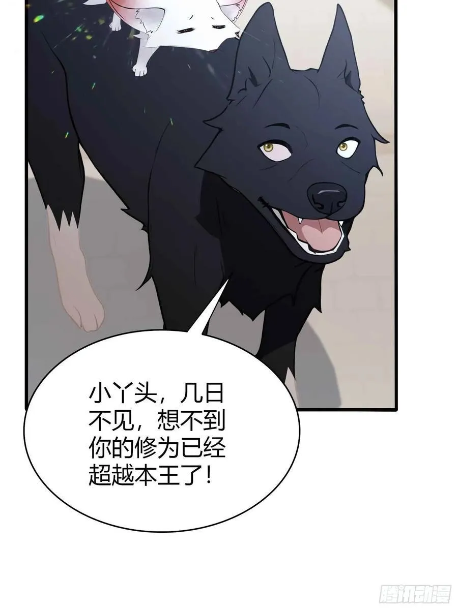 第181话 是自愿的就别眨眼！5