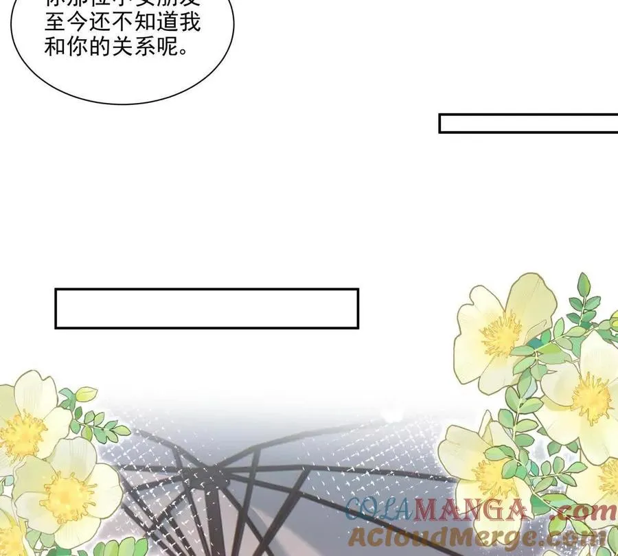 偷猫咪计划9