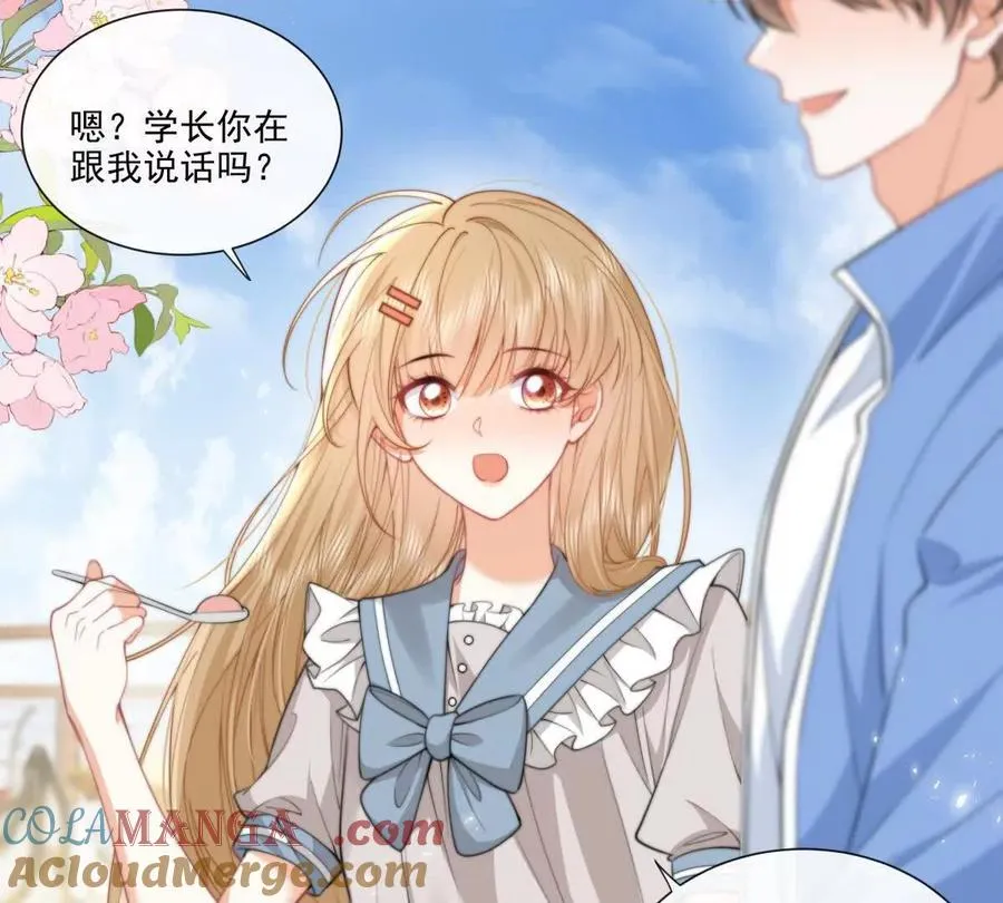 偷猫咪计划24