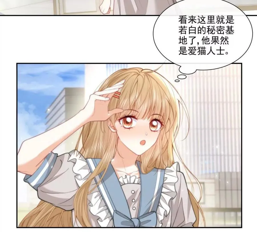 偷猫咪计划35