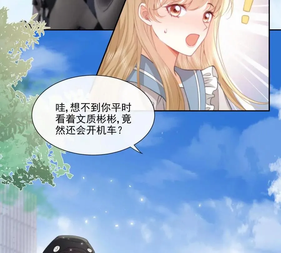 偷猫咪计划47