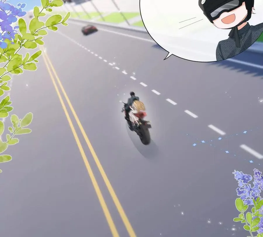 偷猫咪计划52