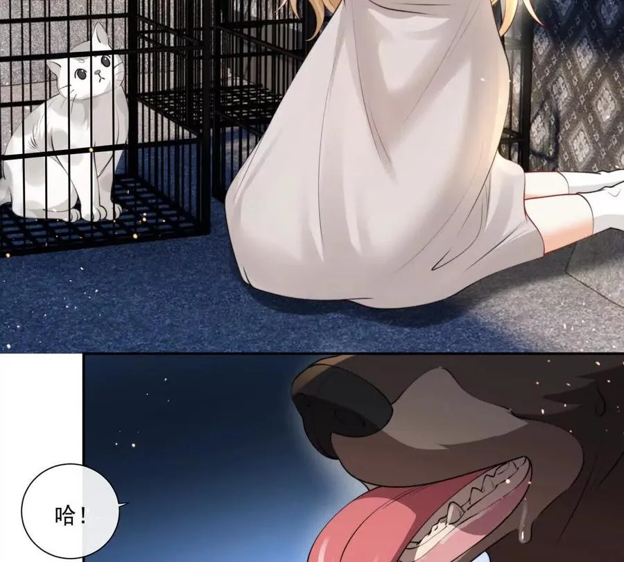 贪婪与恐惧41