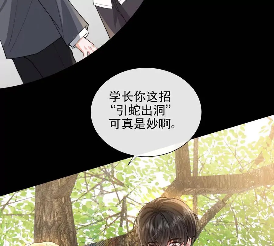 引蛇出洞49