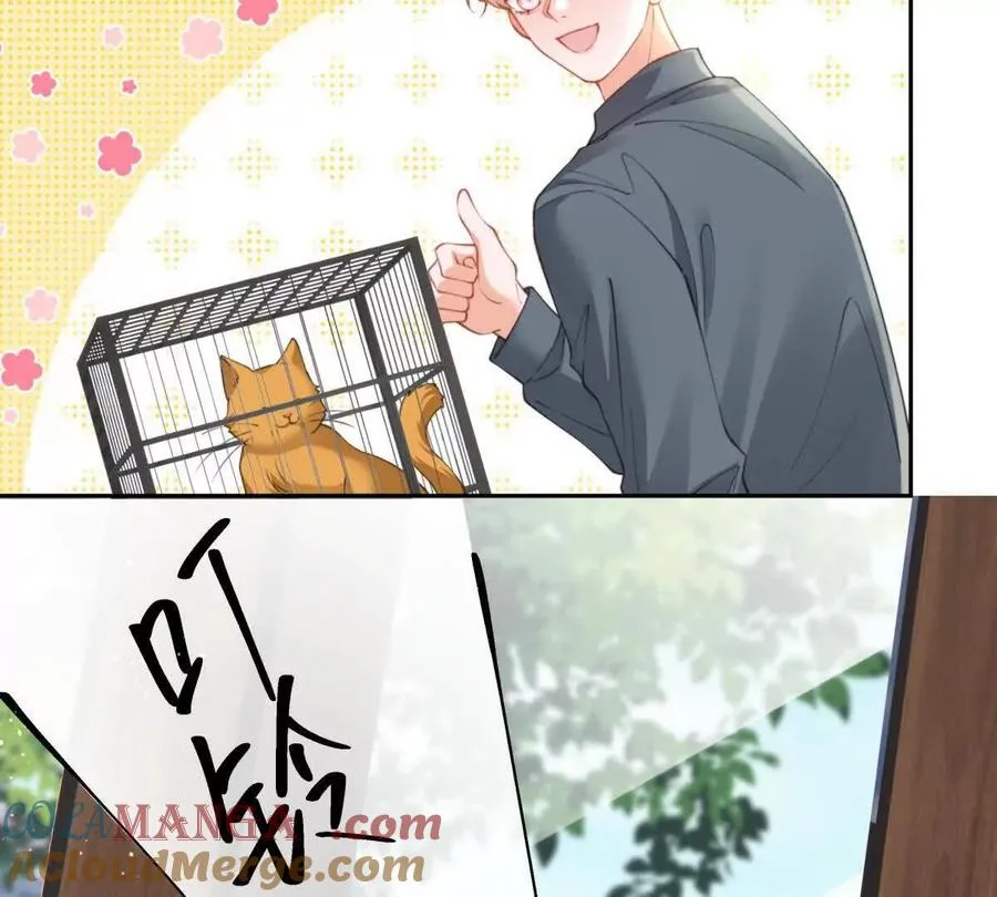 最后一个任务18