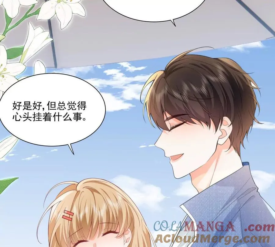 偷猫咪计划18