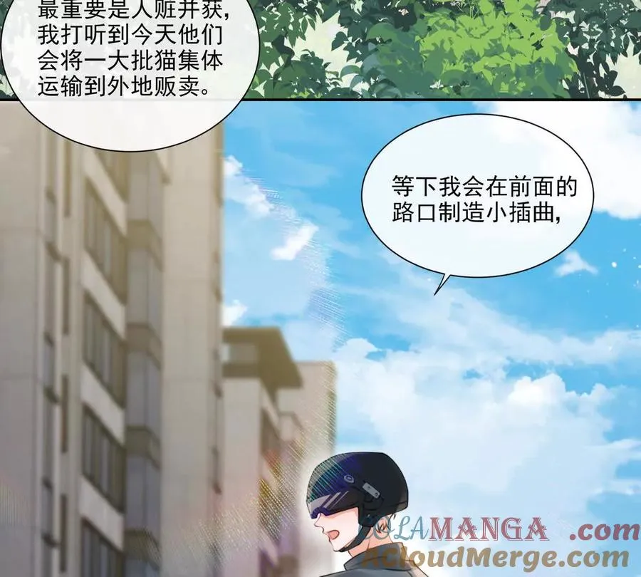 贪婪与恐惧9