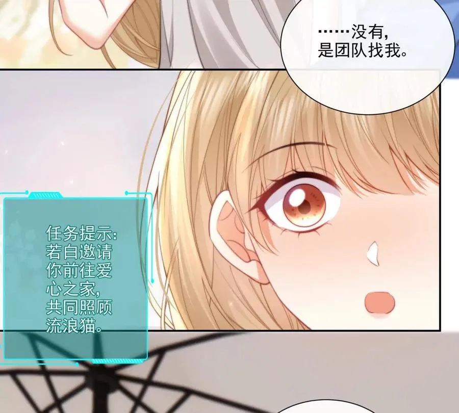 偷猫咪计划25