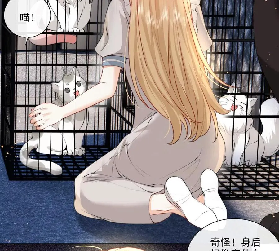 贪婪与恐惧43