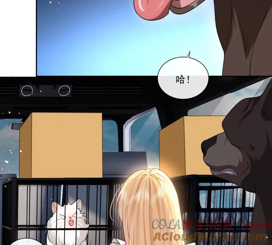 贪婪与恐惧42