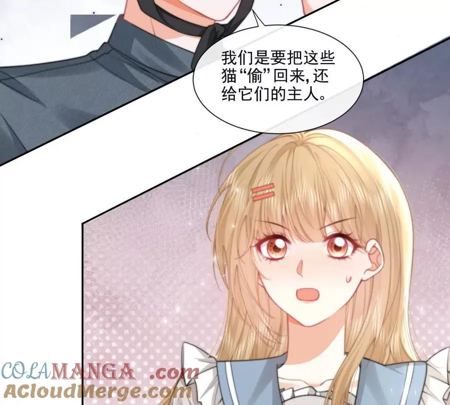 偷猫咪计划69
