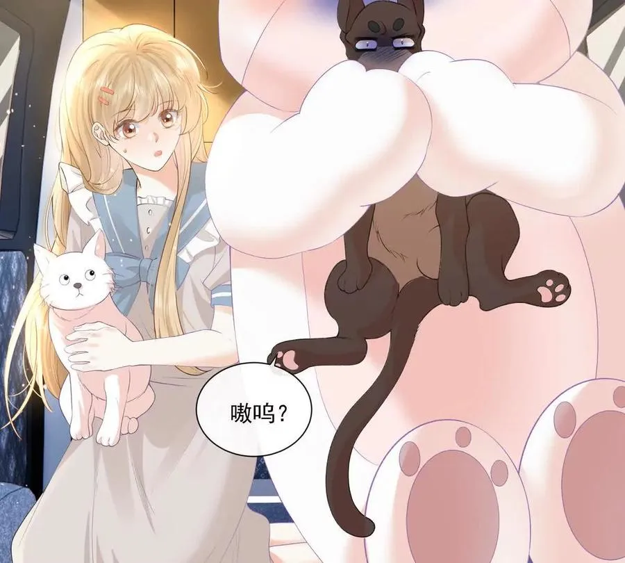 贪婪与恐惧68