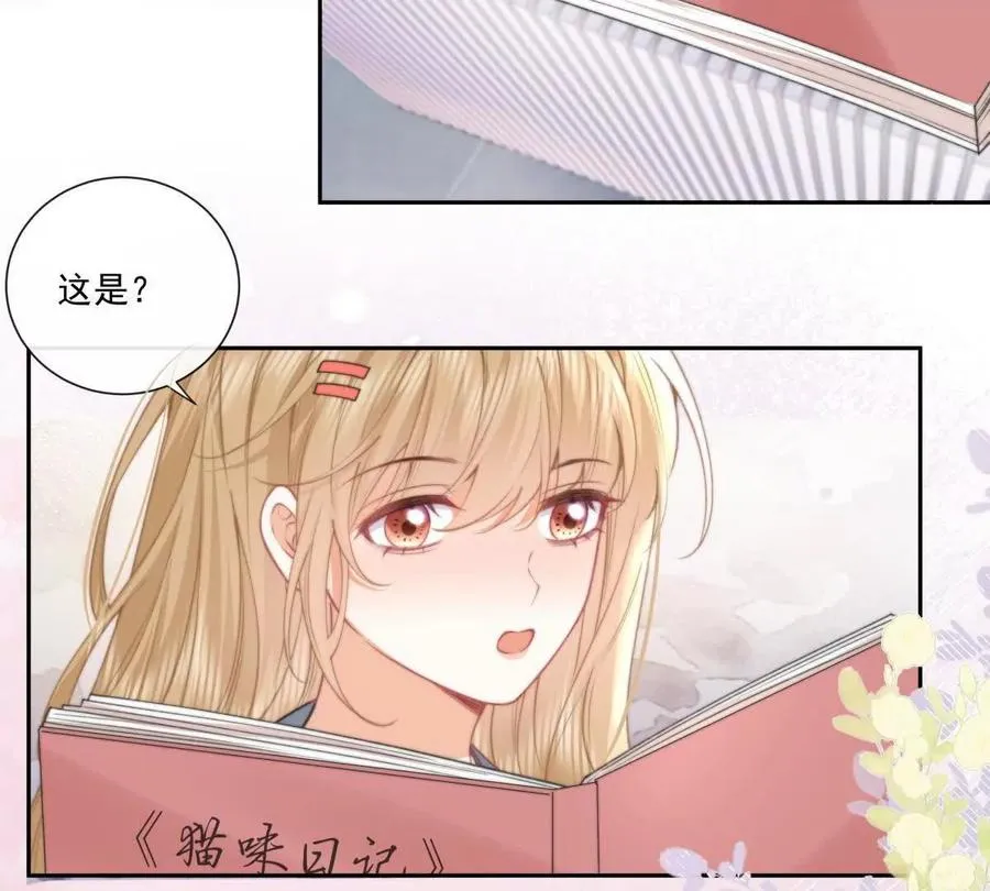 偷猫咪计划41