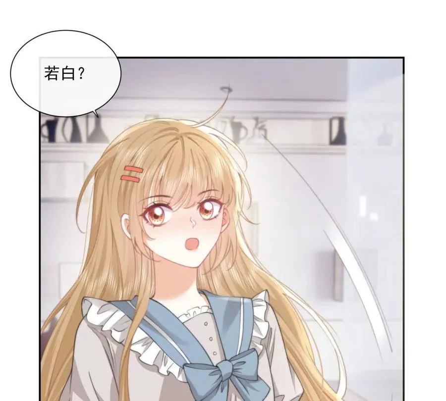 偷猫咪计划38