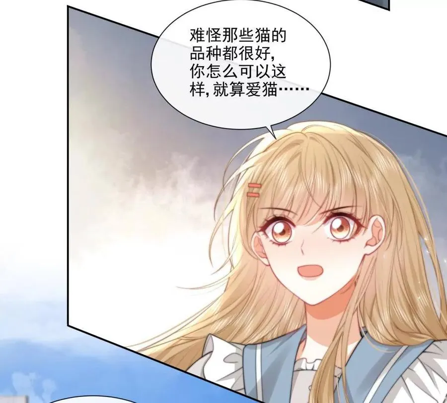 偷猫咪计划59