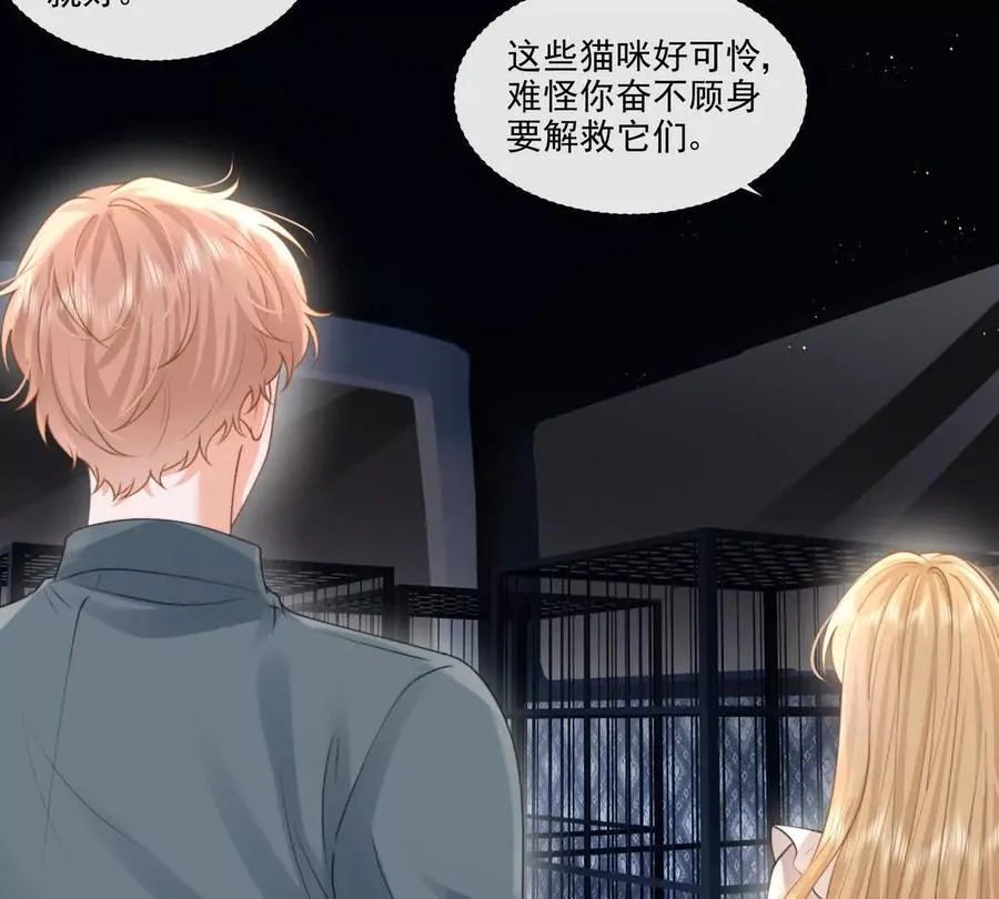 极限营救11