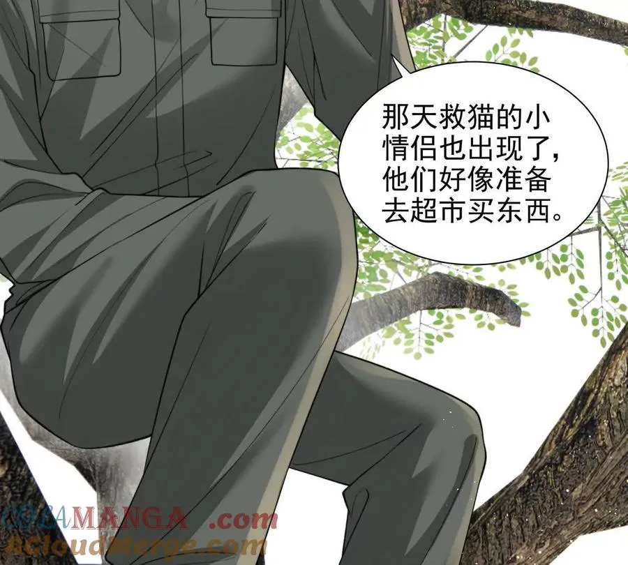引蛇出洞33
