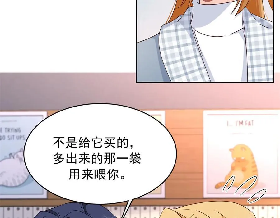 517 求婚准备！47