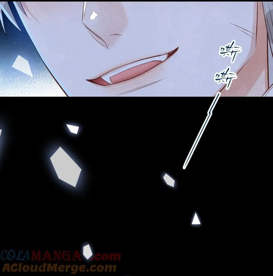 036 兔落蛇网57